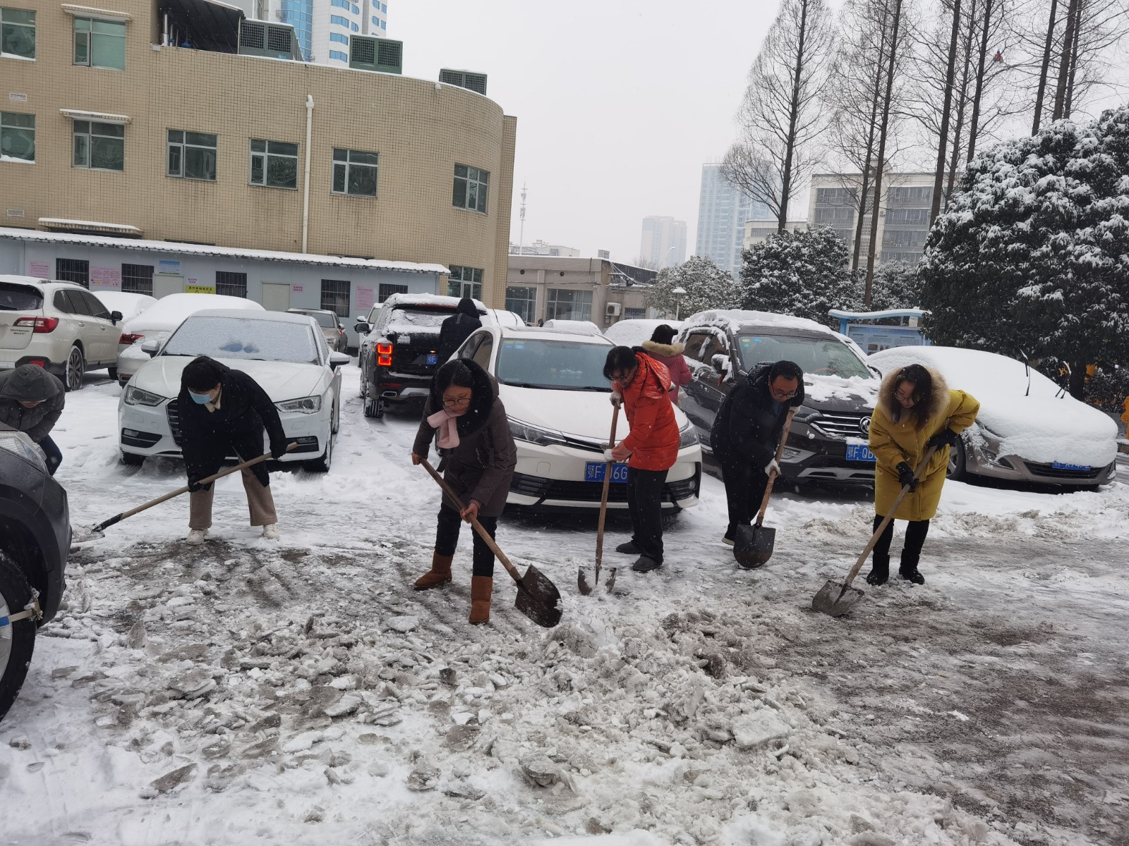 清除積雪解民憂 保障就醫(yī)暖人心